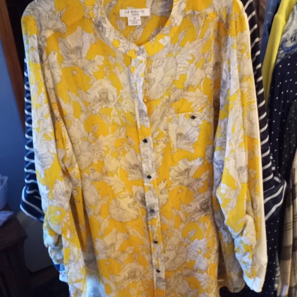 Plus size gorgeous blouse